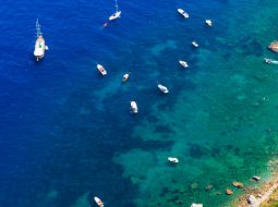 Meilleurs croisières et tours en bateau à Capri, Italie
