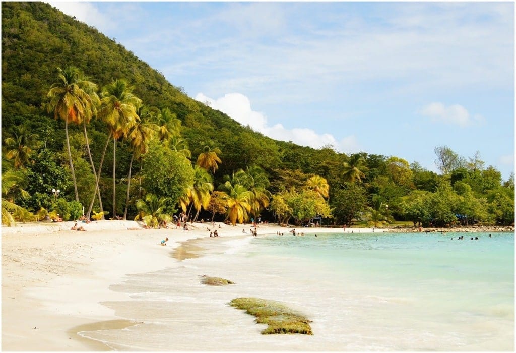 La plage Anse Figuier en Martinique 