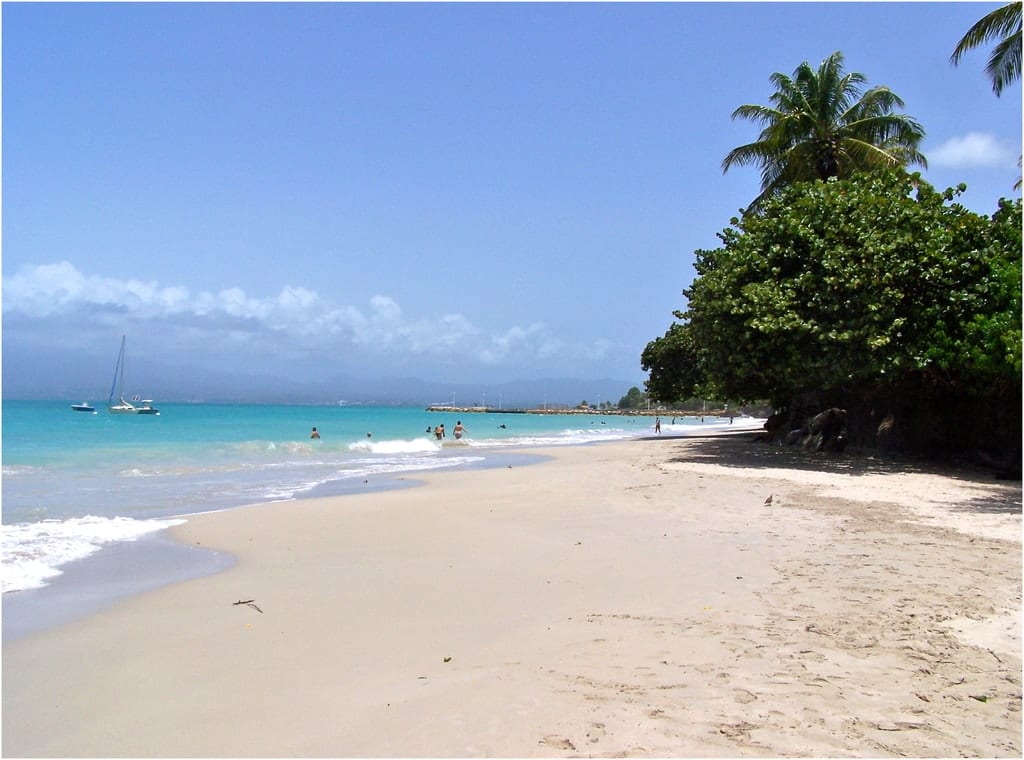 la plage de la Datcha en Guadeloupe