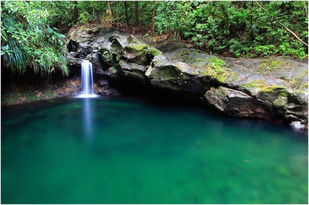 Le bassin Paradise en Guadeloupe