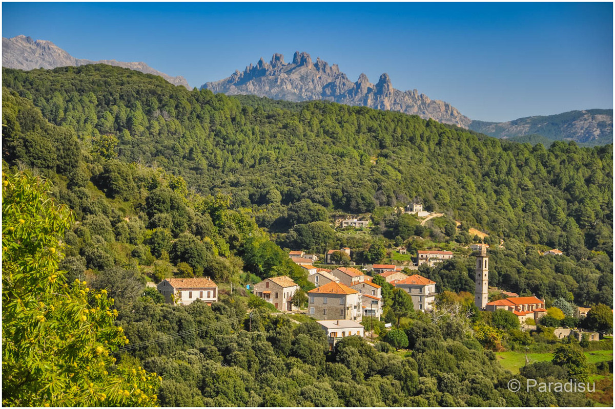 les villages de l'Alta Rocca Corse